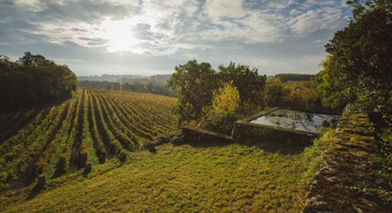 Billet Visite d'un domaine viticole et dégustation d'armagnacs à Lectoure