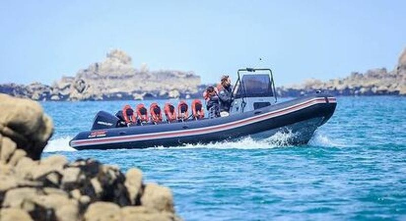 Billet Excursion en bateau dans la baie de Morlaix depuis Roscoff dans le Finistère