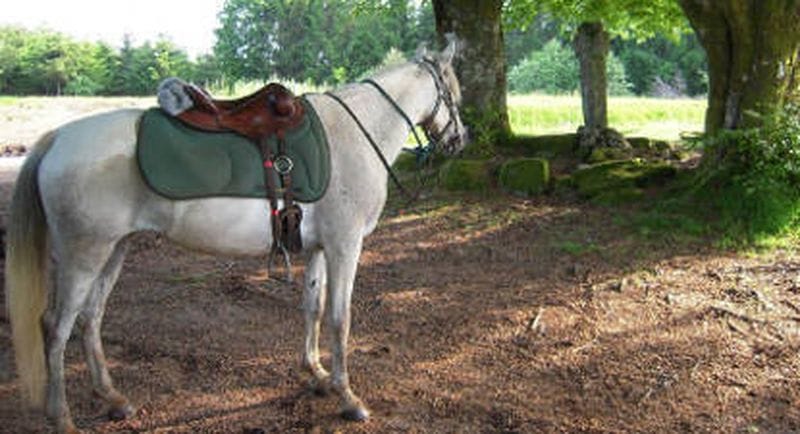 Billet Balade à Cheval à Saint-Genest-sur-Roselle