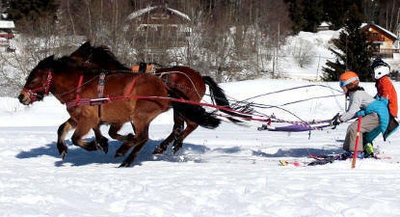 Billet Ski-joëring près de Chambéry