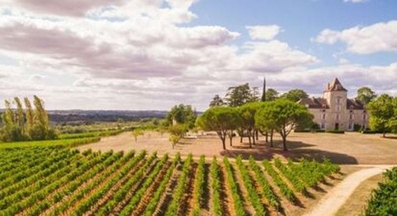 Billet Visite et dégustation de vin au Château de Haute-Serre à Cieurac