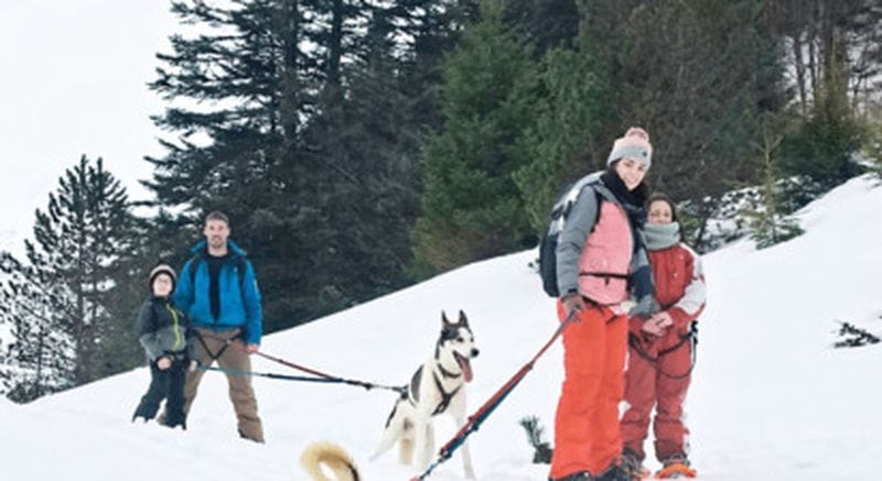 Billet Cani-raquettes à Val d'Azun dans les Pyrénées