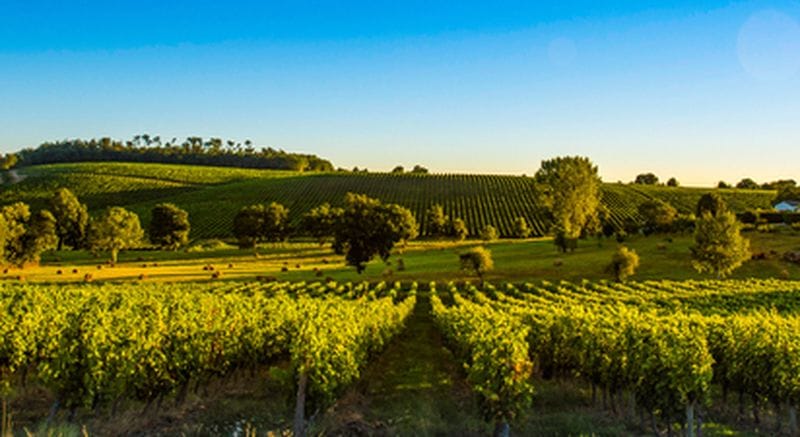 Billet Week-end détente et œnologie près de Libourne