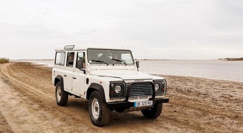Billet Safari en 4x4 à Arles à la découverte de la Camargue