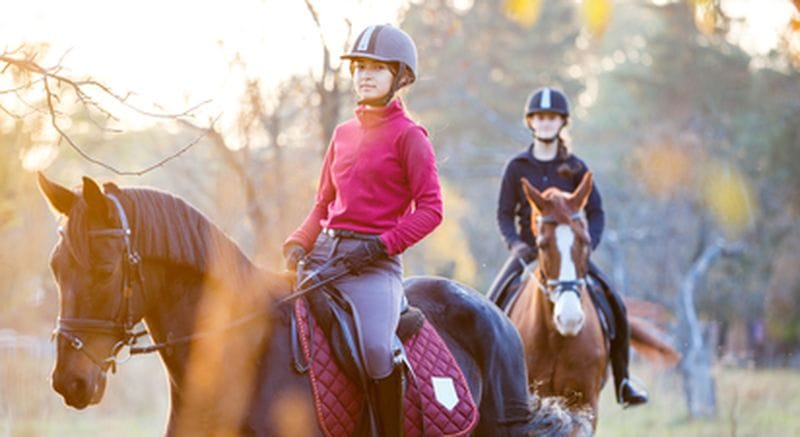 Billet Balade à cheval dans le Vexin près de Cergy