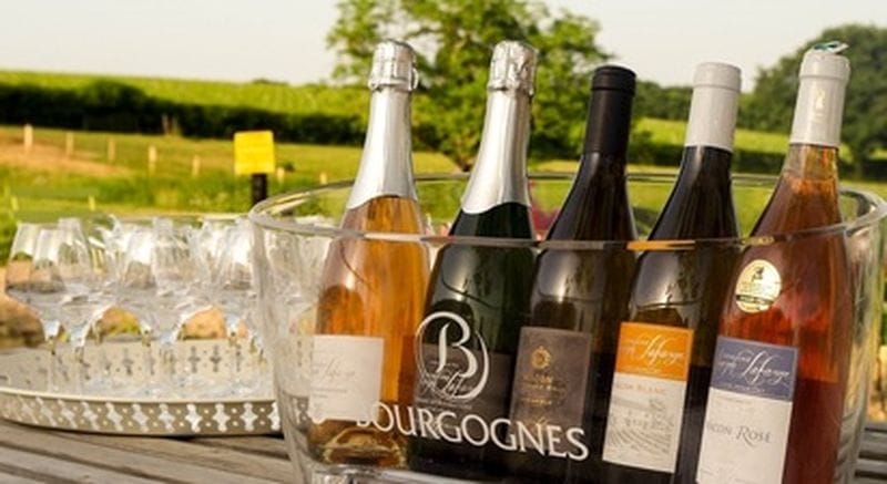 Billet Cours d'œnologie au cœur d'un domaine viticole en Bourgogne près de Macon