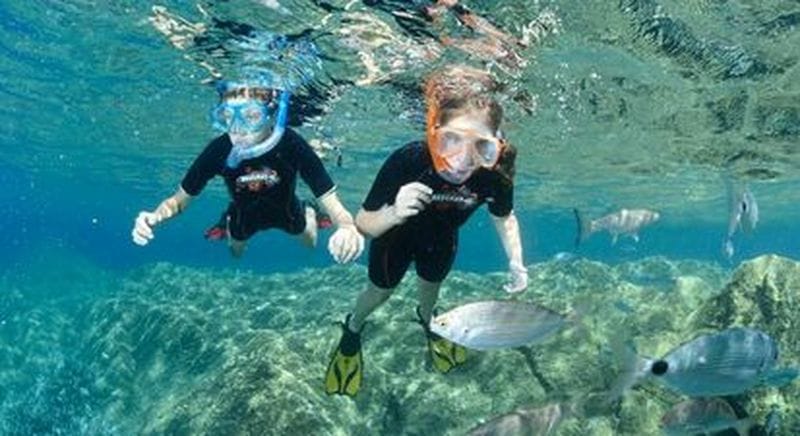 Billet Snorkeling à Calvi, club de plongée L'Hippocampe