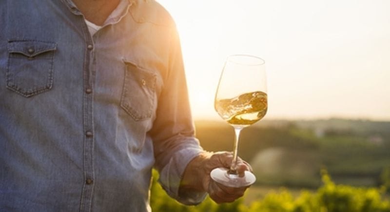 Billet Dégustation de vins au cœur d'un domaine viticole près de Sancerre