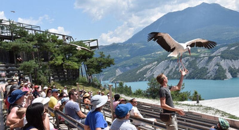 Billet Visite du Parc Animalier de Serre-Ponçon à Le Sauze-du-Lac