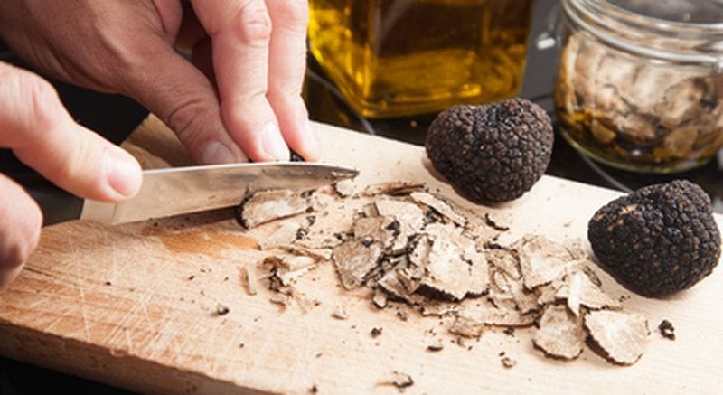 Billet Visite d'une truffière et cours de cuisine autour de la truffe près d'Agen