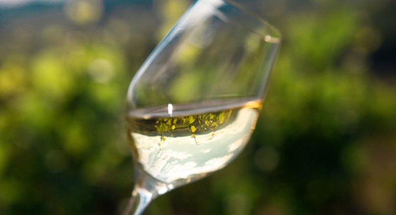 Billet Visite dégustation au sein d'un domaine viticole à La Roche-Vineuse près de Mâcon