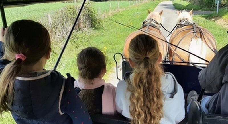Billet Journée en calèche à Saint-Priest-la-Marche