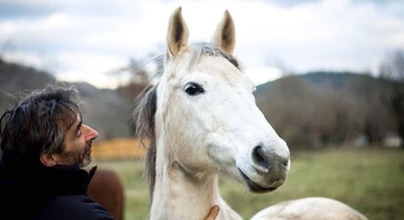 Billet Balade à cheval à Cabrerets près de Cahors