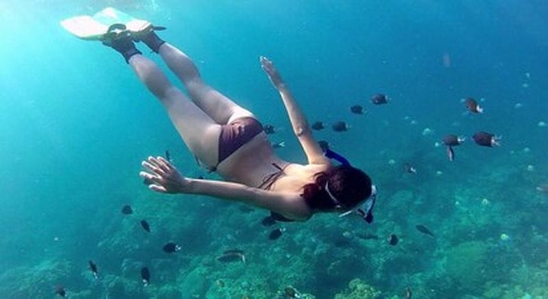 Billet Snorkeling et excursion en mer en Costa Verde