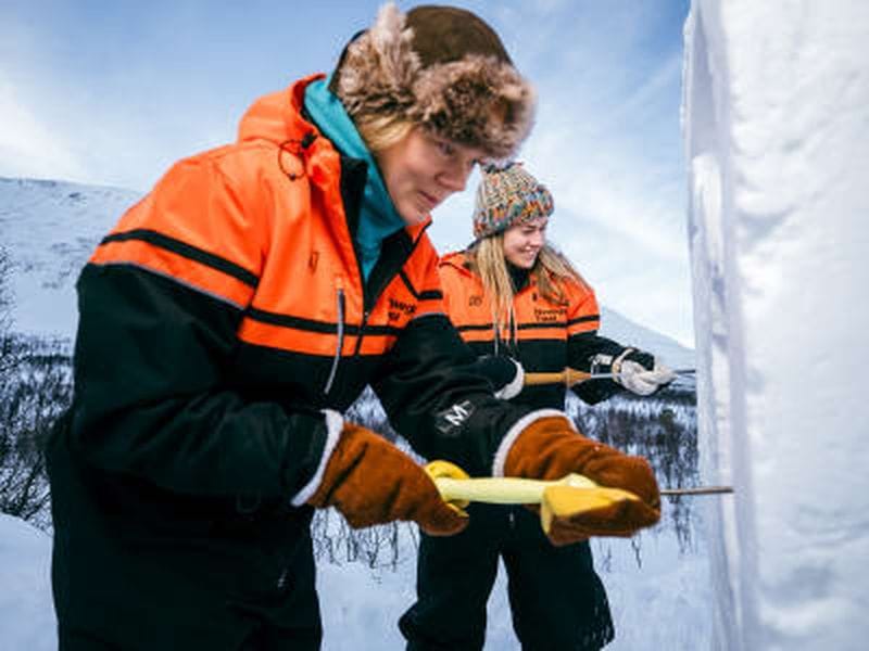 Billet Expérience des aurores boréales en milieu sauvage au Camp Tamok depuis Tromsø