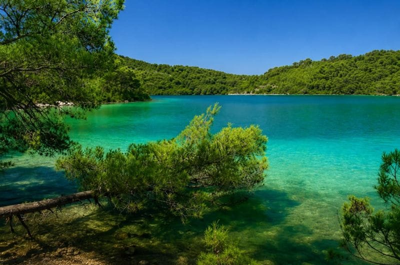 Billet Parc national de Mljet, journée complète au départ de Saplunara