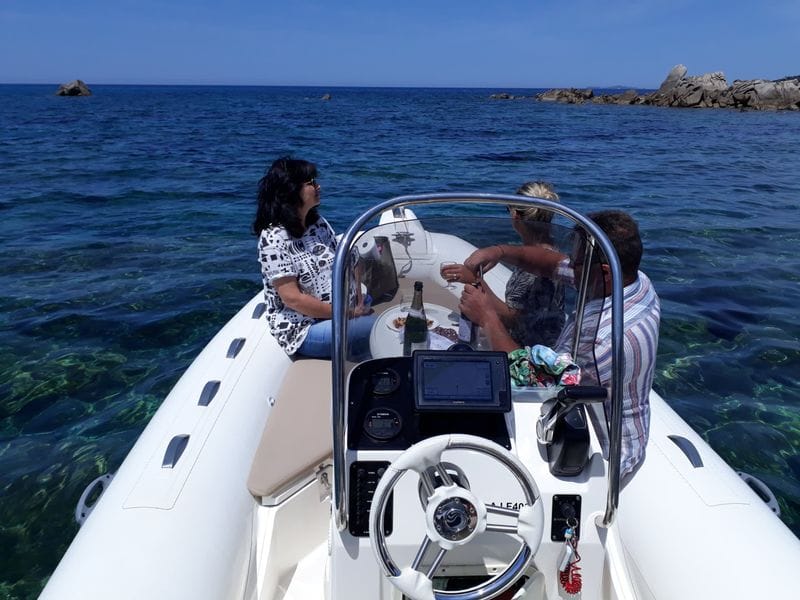 Billet Découvrez Porticcio lors d'une excursion d'une journée en bateau à moteur.
