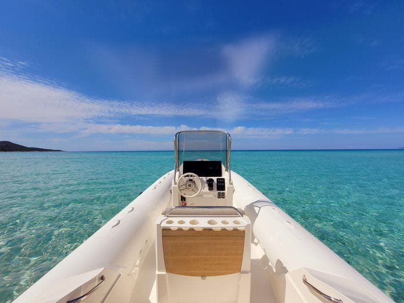Billet Votre bateau à moteur privé pour une journée autour d'Algajola