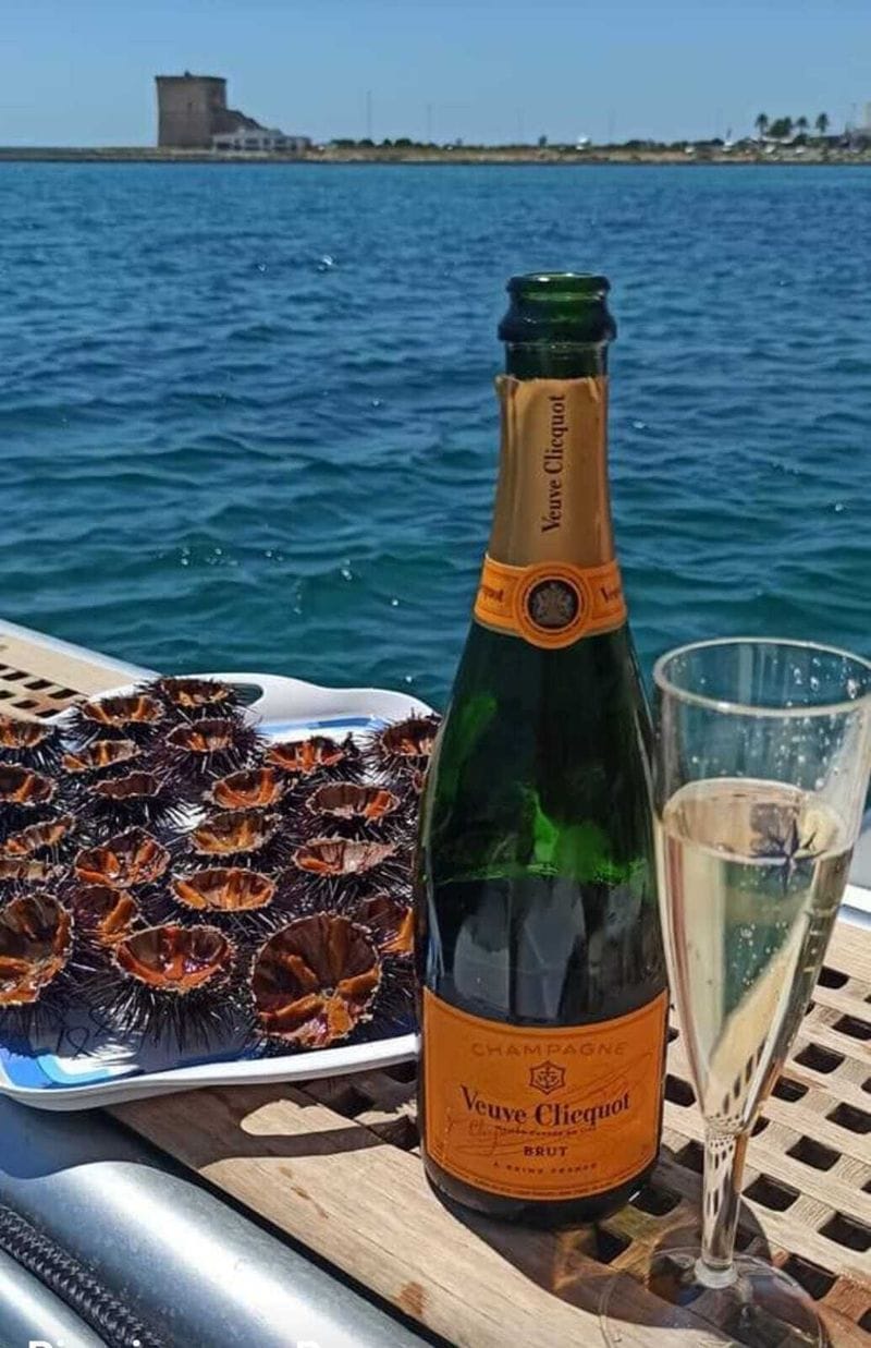 Billet Croisière de luxe de 7,5 heures vers le paradis de Punta Prosciutto