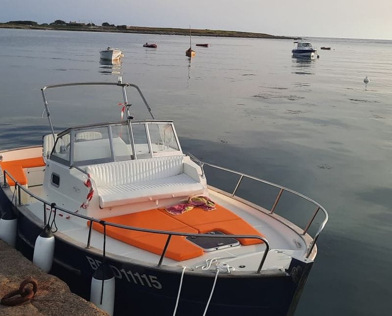 Billet Prenez une demi-journée pour vous détendre sur un bateau à moteur à Port-la-Forêt.