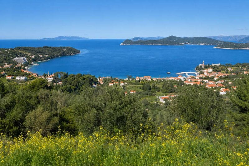 Billet Îles Élaphites depuis Mljet