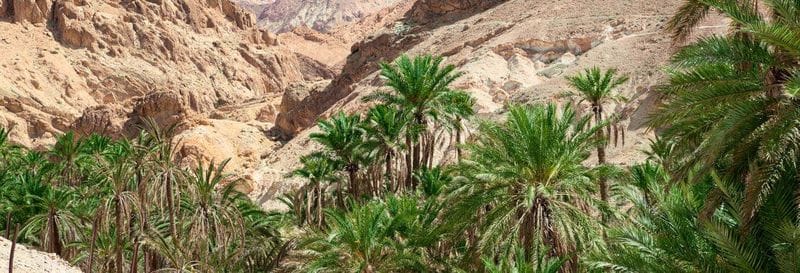 Billet Excursion à Tamerza, Chebika et Midès
