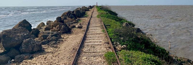 Billet Excursion à Bocas de Ceniza