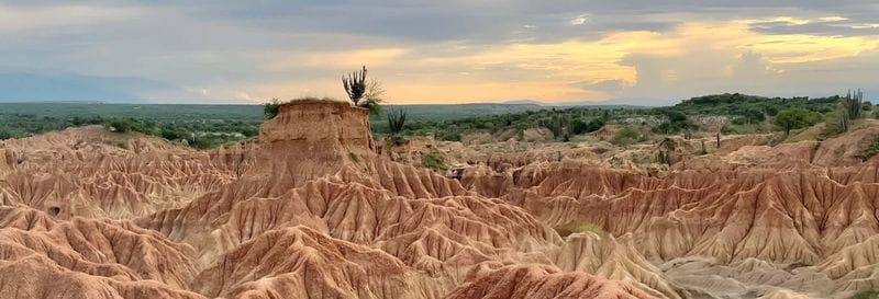Billet Excursion dans le désert de la Tatacoa + Observation des étoiles