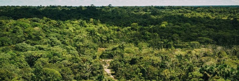 Billet Randonnée dans la forêt amazonienne