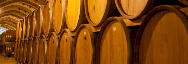 Billet Excursion au domaine viticole de Concha y Toro