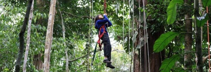 Billet Nuit dans la réserve naturelle de Tanimboca