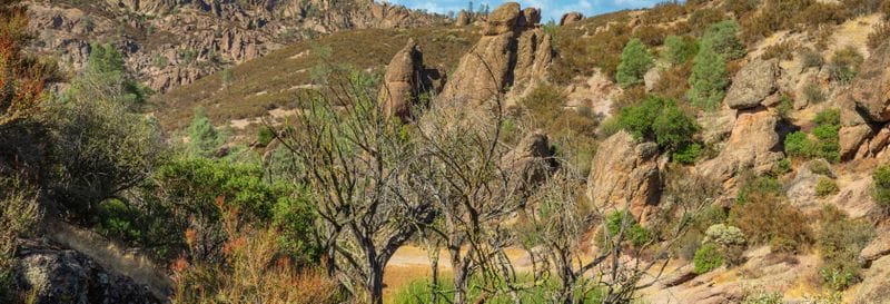 Billet Balade en 4x4 dans la Faille de San Andreas