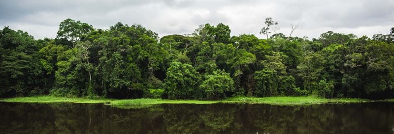 Billet Excursion au Parc national de la Mefou et à la réserve forestière d'Ebogo