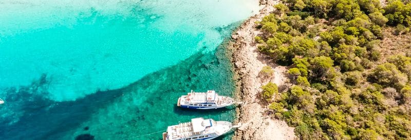 Billet Croisière dans les criques du Sud