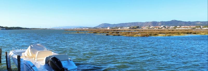 Billet Balade en bateau et snorkeling depuis La Restinga