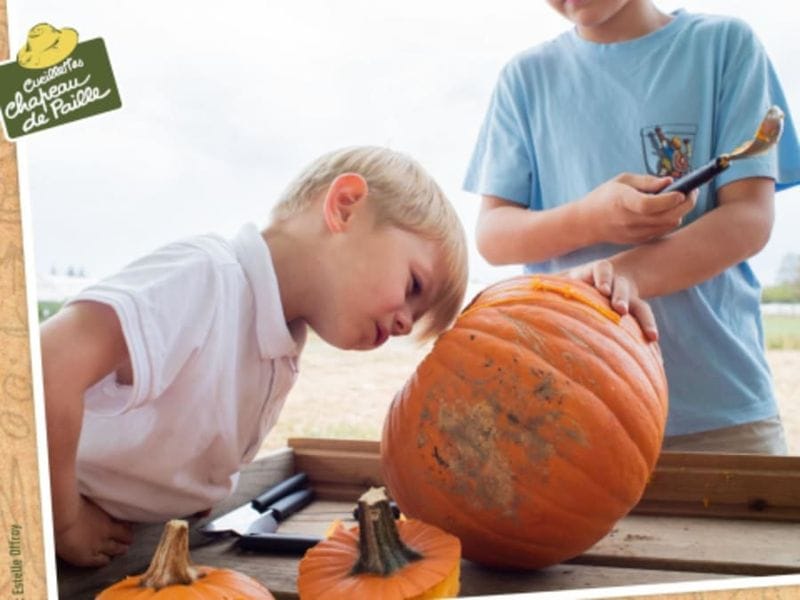 Billet Atelier citrouille à la cueillette de Saint-Hilaire-des-Loges
