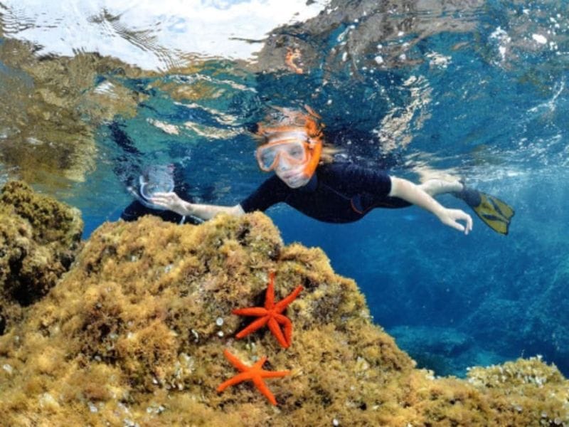 Billet Snorkeling à Calvi (20)