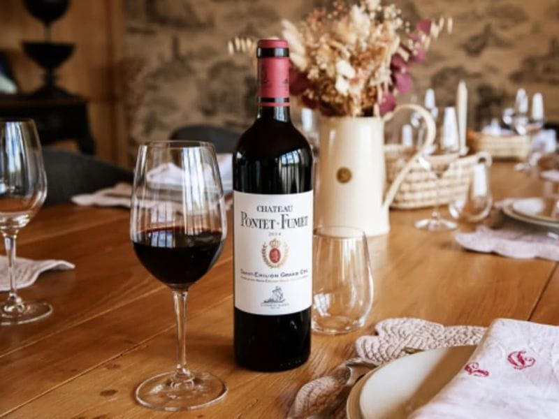 Billet Visite de vignoble et dégustation de Grand Cru à Vignonet (33)