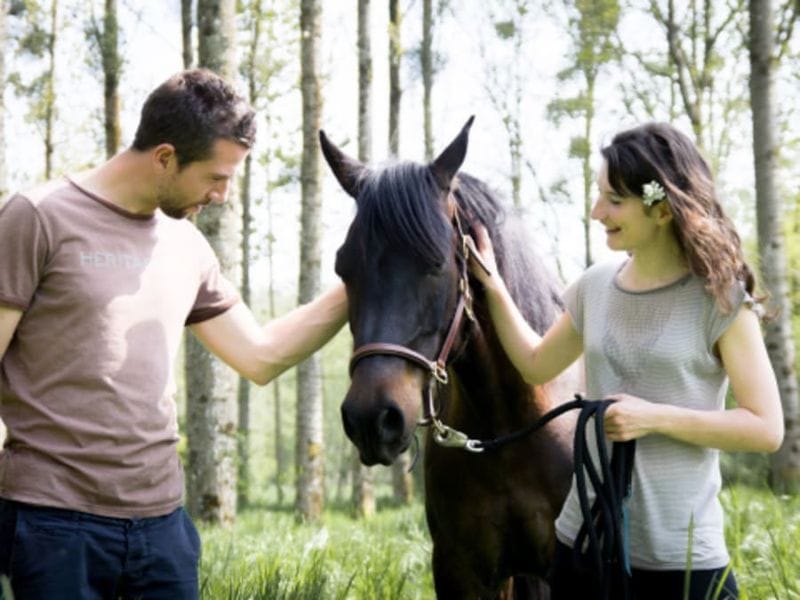 Billet Séance d'équi-coaching proche de Bordeaux (33)