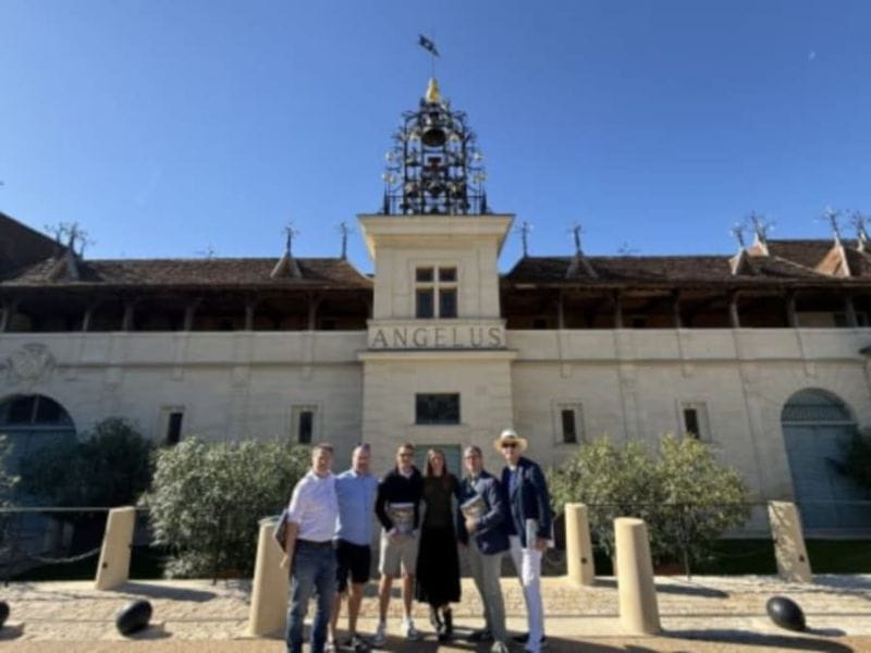 Billet Visite guidée du village médiéval et château à Saint-Émilion