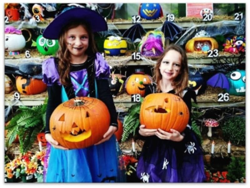 Billet Atelier enfant citrouille Halloween chez Truffaut Poitiers (86)