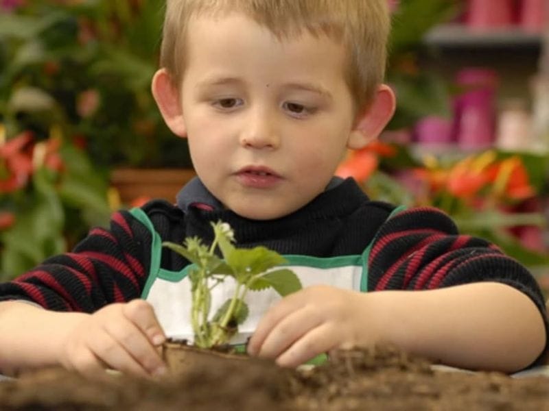 Billet Atelier enfant vacances à la Cueillette de Saint-Gratien (80)