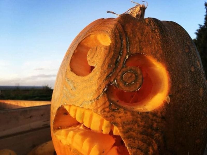 Billet Atelier citrouille d'Halloween à la Cueillette de Seclin (59)