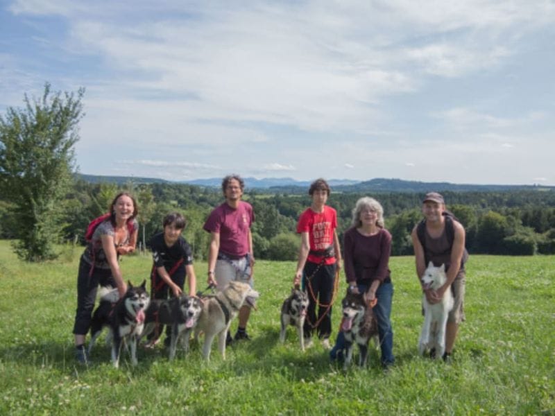Billet Cani-rando près de Sancy (63)