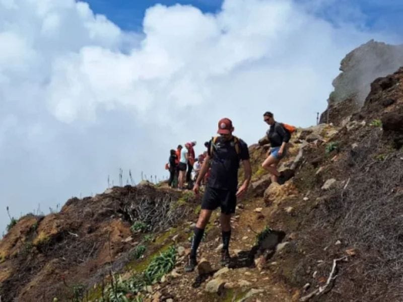 Billet Randonnée avec un guide sur le volcan de la Soufrière (971)