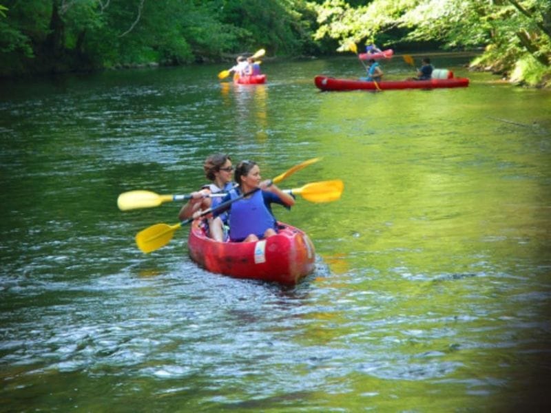 Billet Location de Canoë à Saint-Père : balade 8 km sur la Basse-Cure