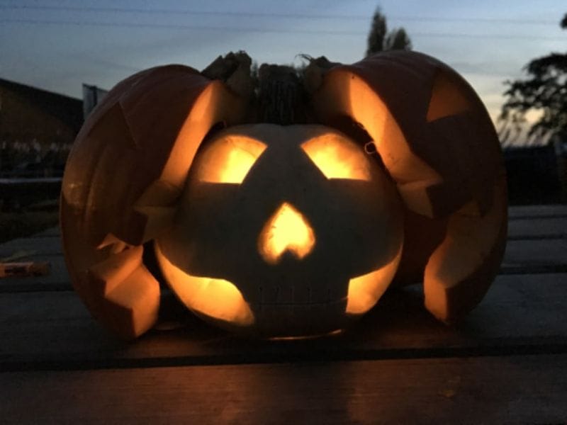 Billet Atelier citrouille d'Halloween à la cueillette de Cergy (95)