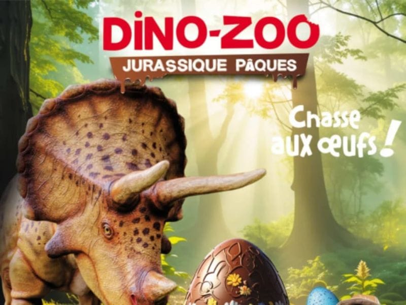 Billet Billet pour le parc Dino-Zoo (25)