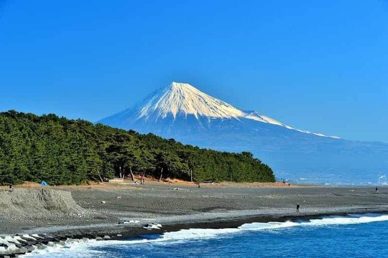 Billet Prise en charge au port de Shimizu : visite de Shizuoka avec guide et véhicule