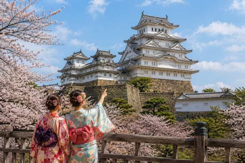 Billet Visite d'une journée à Kobe et Himeji avec chauffeur anglophone